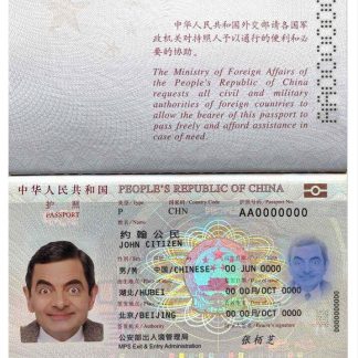 China passport (2013 present) download template file