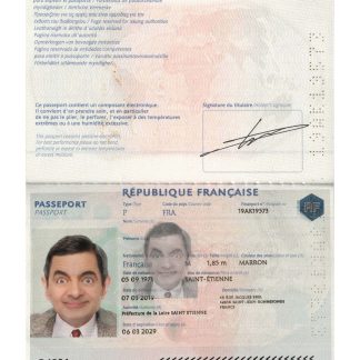 France Passport 2019 Download Template File