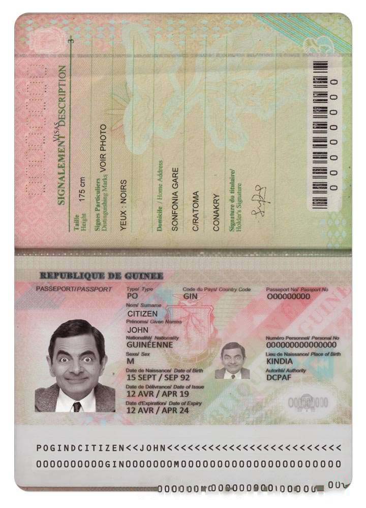 Guinea Passport 2014 Download Template File