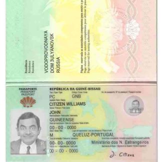Guinea Passport v2 Download Template File