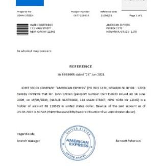 USA American Express reference download template file