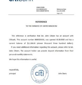 USA Citibank reference download template file