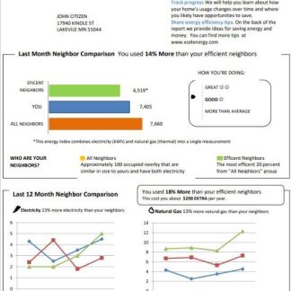 USA Minnesota Xcel Energy utility bill template in Word and PDF format (.doc and .pdf) download template file