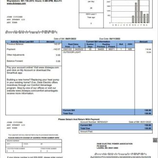 USA Mississippi Dixie Electric utility bill template in Word and PDF format download template file