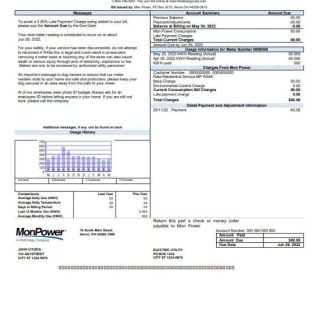 USA Mon Power utility bill template in Word and PDF format download template file