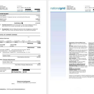 USA Nationalgrid electric utility bill Word and PDF formats, 2 pages download template file