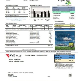 USA Nevada NV Energy utility bill template in Word and PDF format download template file