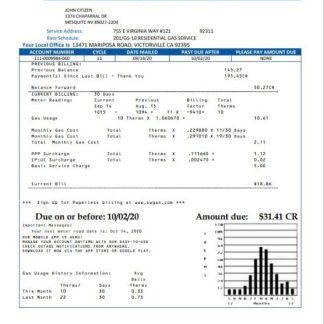 USA Nevada Southwest gas Corporation utility bill template in Word and PDF format download template file