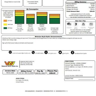 USA Nevada Waterloo North Hydro utility bill template in Word and PDF format (version 2) download template file