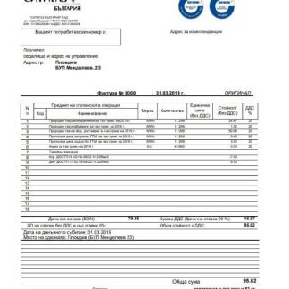 Bulgary Ситигаз gas utility bill template in Word and PDF format download template file
