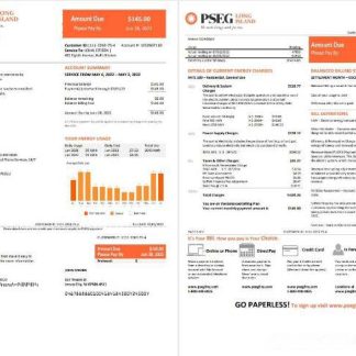 USA New Jersey PSEG electricity utility bill template in Word and PDF format, 2 pages download template file