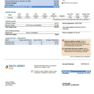 USA New Jersey South Jersey Gas utility bill template in Word and PDF format download template file