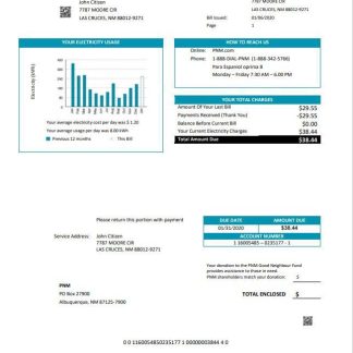 USA New Mexico PNM easy fillable utility bill template in Word and PDF format (.doc and .pdf) download template file