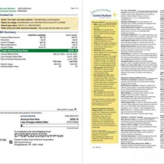 USA New York Central Hudson A fortis company utility bill, Word and PDF template, 3 pages 1 2 download template file