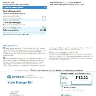USA NEW YORK CONEDISON utility bill Word and PDF template, version 2 download template file