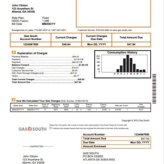 USA New York Gas South utility bill template in Word and PDF format download template file