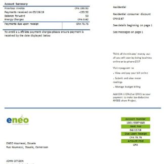 Cameroon ENEO electricity utility bill download template file