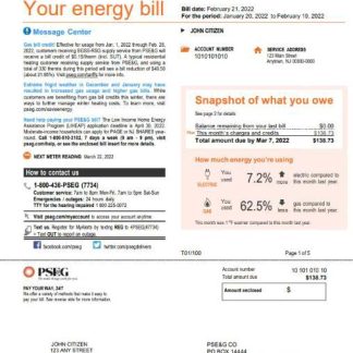 USA New York PSEG utility bill, Word and PDF template, 5 pages 1 download template file