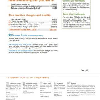 USA New York PSEG utility bill, Word and PDF template, 5 pages 2 download template file