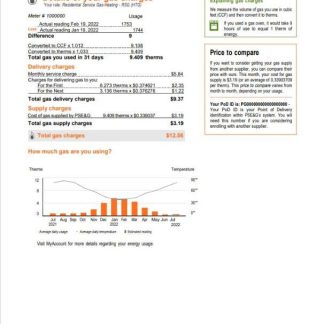USA New York PSEG utility bill, Word and PDF template, 5 pages 3 download template file