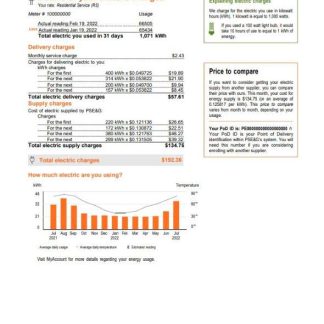 USA New York PSEG utility bill, Word and PDF template, 5 pages 4 download template file