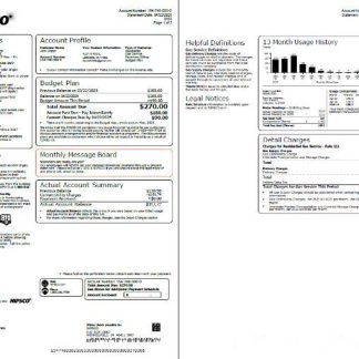 USA NIPSCO utility bill template in Word and PDF formats, 2 pages download template file
