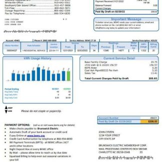 USA North Carolina Brunswick Electric utility bill template in Word and PDF format download template file
