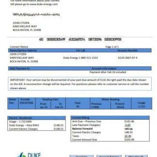 USA North Carolina Duke Energy utility bill template in Word and PDF format download template file