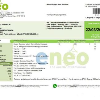 Cameroon ENEO electricity utility bill template in Word and PDF format (current version) download template file