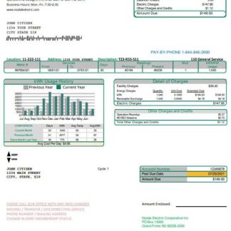 USA North Dakota Nodak Electric Cooperative utility bill template in Word and PDF format download template file