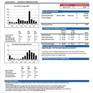 USA NorthWestern Energy utility bill template in Word and PDF format, version 1 download template file