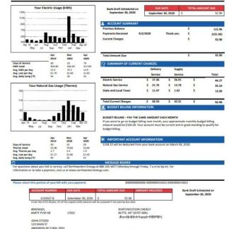 USA NorthWestern Energy utility bill template in Word and PDF format, version 2 download template file