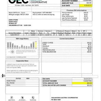 USA OEC electricity utility bill template in Word and PDF format download template file