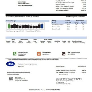 USA Ohio DP&L utility bill template in Word and PDF format download template file
