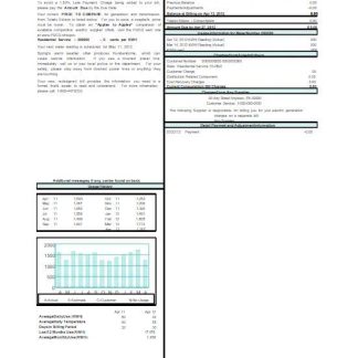 USA OHIO EDISON utility bill Word and PDF template download template file
