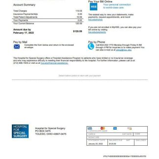 USA Ohio Hospital For Special Surgery utility bill template in Word and PDF format download template file
