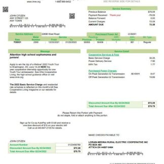 USA Ohio Lorain Medina Rural Electric utility bill template in Word and PDF format download template file