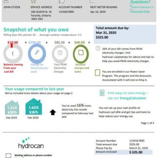 USA Ontario Hydrocan electricity utility bill template in Word and PDF format download template file