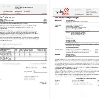 USA Ontario’s Hydro One electricity utility bill template in Word and PDF format (2 pages) download template file