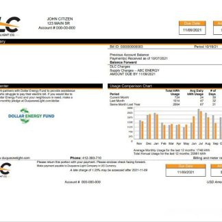 USA Pennsylvania Duquesne Light Company (DLC) utility bill template in Word and PDF format download template file