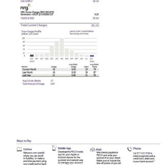 USA Pennsylvania PECO electric and gas utility bill, 3 pages 2 download template file