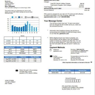 USA Pennsylvania PPL Electric utility bill template in Word and PDF format download template file
