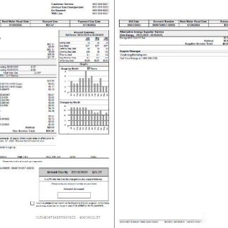 USA Peoples Gas utility bill template in Word and PDF formats, 2 pages download template file