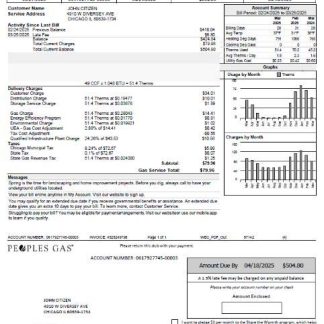 USA Peoples Gas utility bill template in Word and PDF formats, version 2 download template file