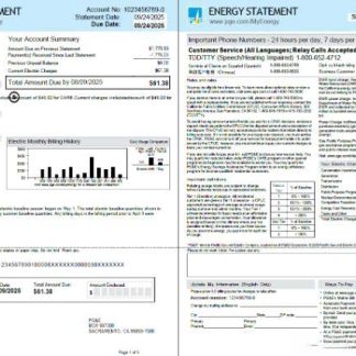 USA PG&E utility bill template in Word and PDF formats, 3 pages, 1 2 pages download template file