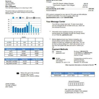 USA Philadelphia PPL utility bill template in Word and PDF format download template file