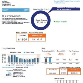 USA PPL Electric utility bill template in Word and PDF formats, version 2 download template file