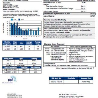 USA PPL Electric utility bill template in Word and PDF formats, version 3 download template file