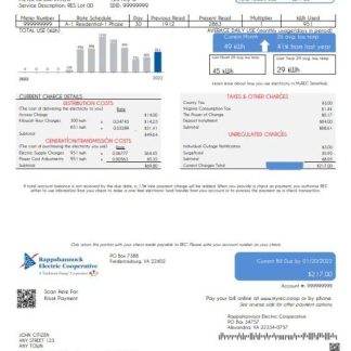 USA Rappahannock Electric Cooperative utility bill template in Word and PDF format download template file