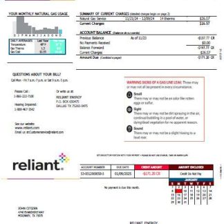 USA Reliant Energy utility bill template in Word and PDF formats download template file